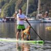 RCPets TIDAL LIFE VEST - Image 3