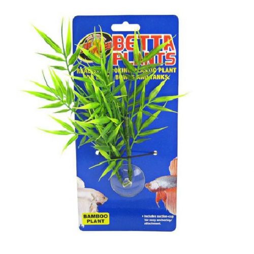 Betta Plant Bamboo
