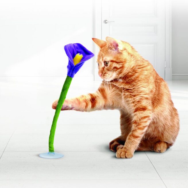 Kong Cat Connects™ Bloomz