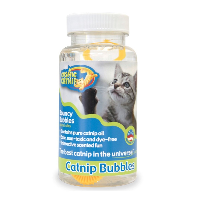 Are Bubbles Safe For Cats?  