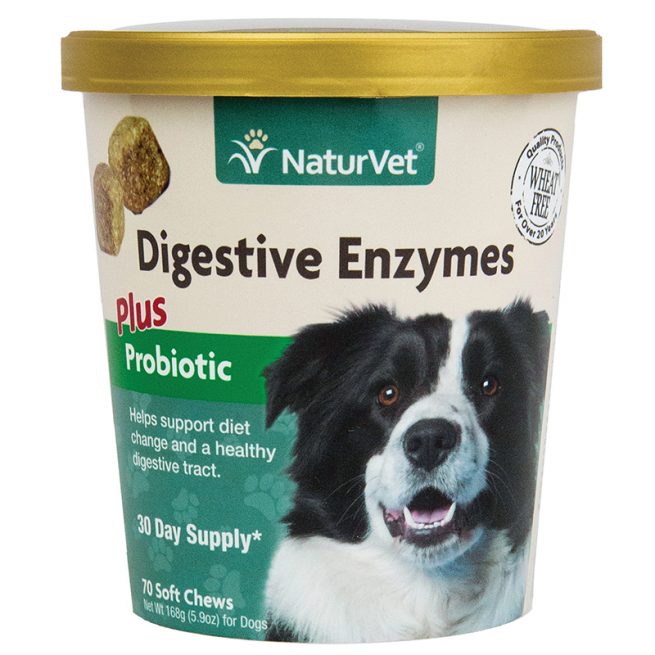 Dog-Supply-Digestive-Enzymes-Soft-Chew-70PC-Cup