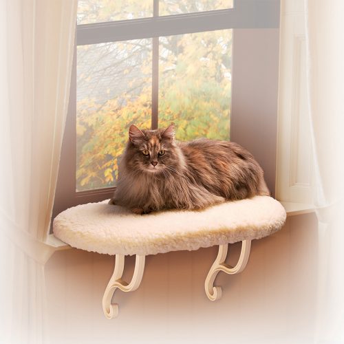 Kitty-Window-Sill