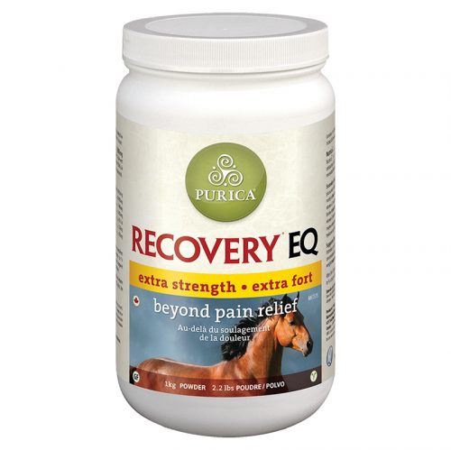 Recovery EQ Extra Strength Powder 1KG