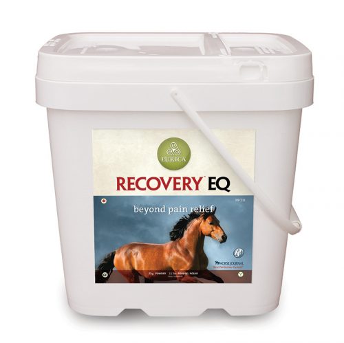 Recovery EQ Powder 5KG