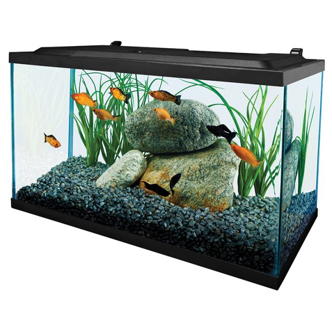 Fish-Supply-Tetra-Deluxe-LED-Kit-10G