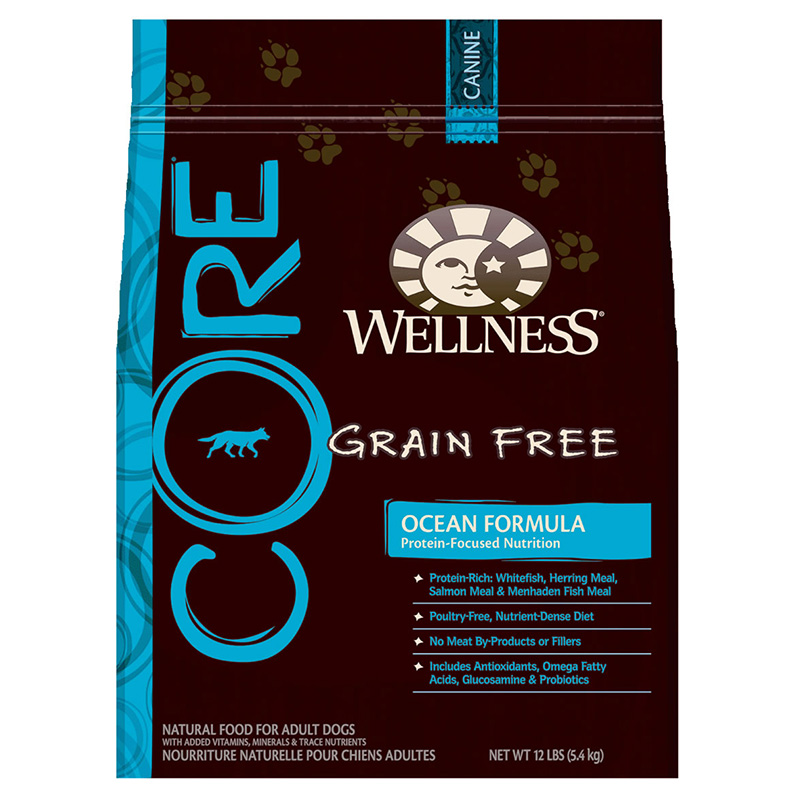 DogFoodWellnessCoreDogOcean12LB All For Pets