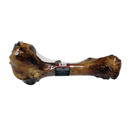 Baxter & Bella Dino Bone