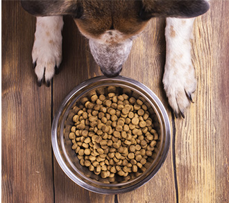Dog and Puppy Food