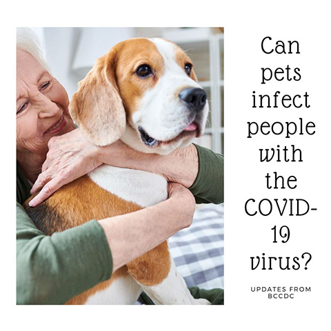 pets-and-covid-19